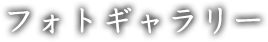 フォトギャラリー